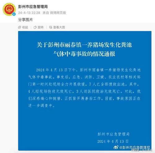 彭州网友爆料新闻最新,惊现神秘事件，真相令人震惊！